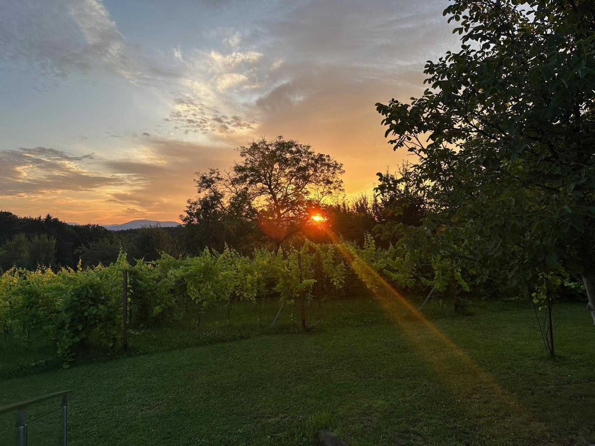 Lind Fruchtreich Daire Sebersdorf Dış mekan fotoğraf